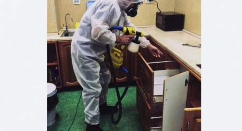 Дезинсекция квартиры. Ясногорск