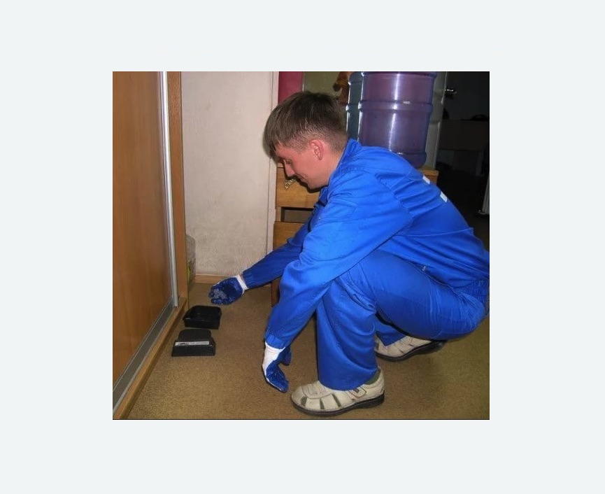 Дератизация крыс в Ясногорске