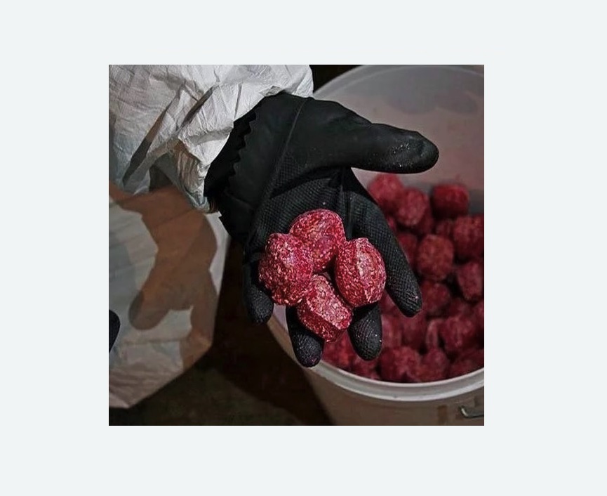 Обработка от крыс в Ясногорске