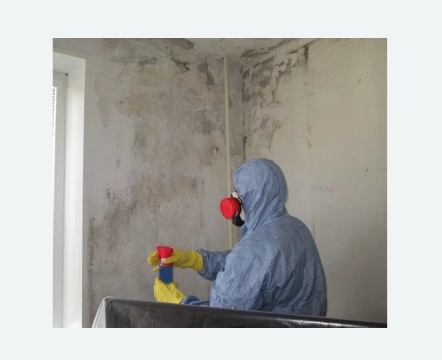 Удаление плесени в квартире в Ясногорске