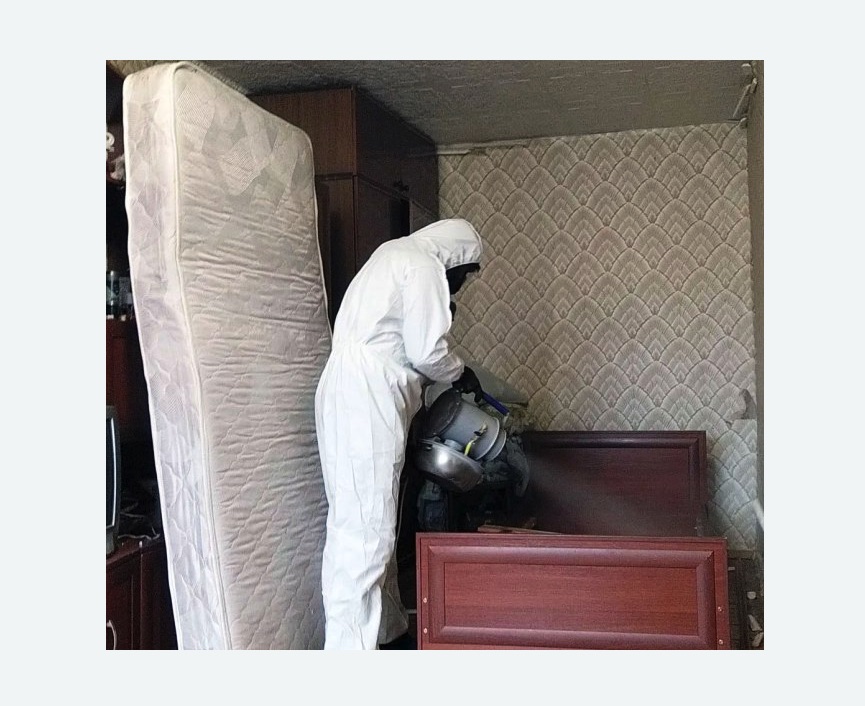 дезинфекция от клопов в Ясногорске