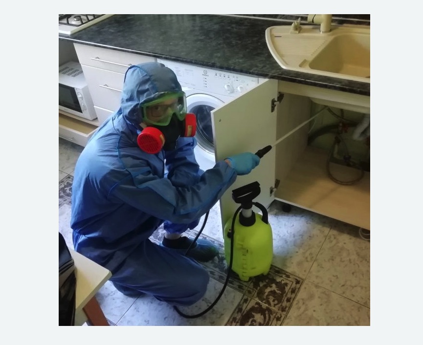 обработка от муравьев в квартире в Ясногорске