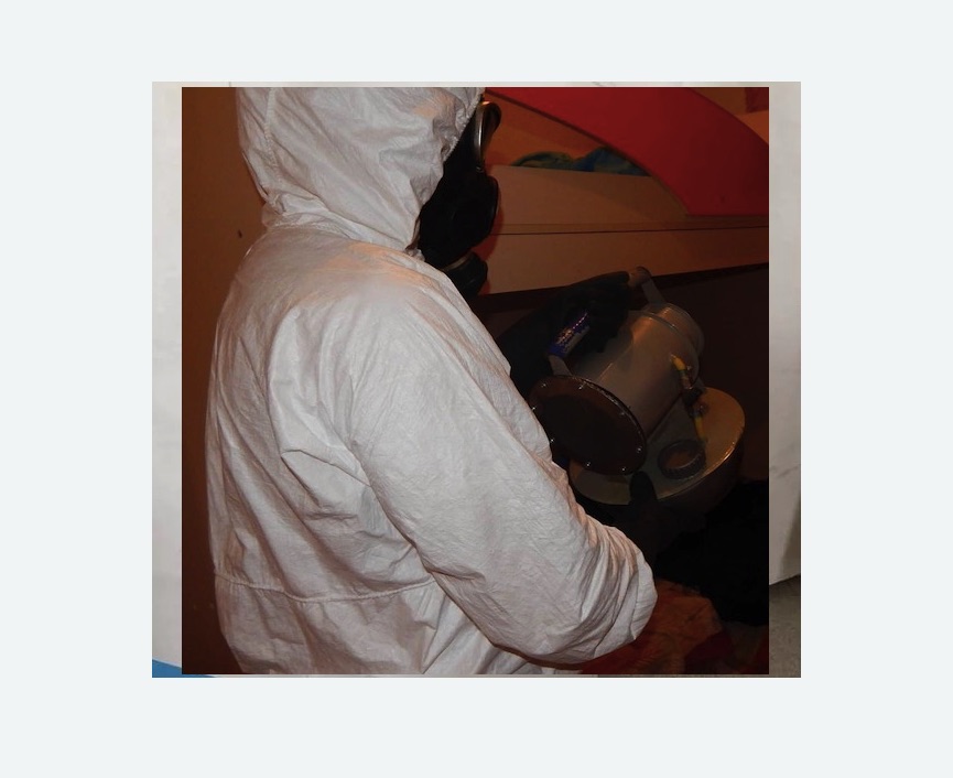 Дезинфекция от муравьев в Ясногорске