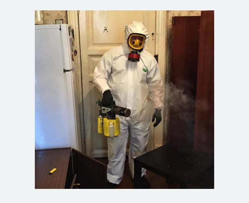 уничтожение муравьев в квартире в Ясногорске